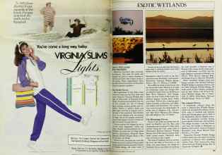 Better Homes & Gardens September 1983 Magazine Article: Page 168