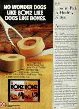 Better Homes & Gardens October 1983 Magazine Article: How to Pick A Healthy Kitten