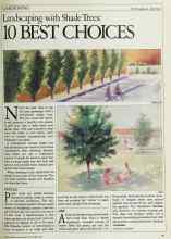 Better Homes & Gardens October 1983 Magazine Article: Landscaping with Shade Trees: 10 BEST CHOICES