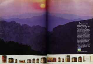 Better Homes & Gardens October 1983 Magazine Article: Page 88