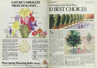 Better Homes & Gardens October 1983 Magazine Article: Page 90