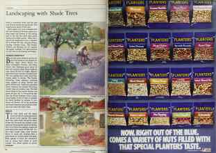 Better Homes & Gardens October 1983 Magazine Article: Page 94