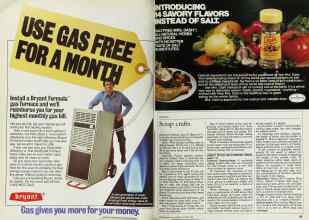 Better Homes & Gardens October 1983 Magazine Article: Page 166