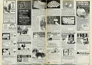 Better Homes & Gardens October 1983 Magazine Article: Page 202