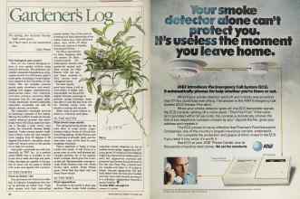 Better Homes & Gardens November 1983 Magazine Article: Page 66