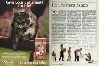 Better Homes & Gardens November 1983 Magazine Article: Page 114