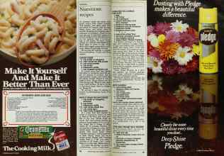 Better Homes & Gardens January 1984 Magazine Article: Page 98