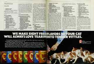 Better Homes & Gardens January 1984 Magazine Article: Page 100