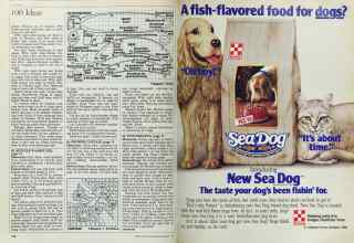 Better Homes & Gardens February 1984 Magazine Article: Page 128