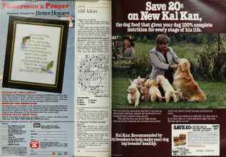 Better Homes & Gardens February 1984 Magazine Article: Page 144
