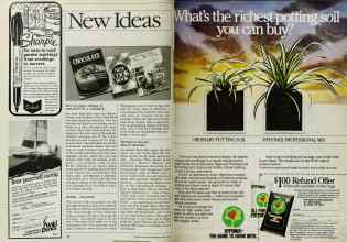 Better Homes & Gardens March 1984 Magazine Article: Page 38
