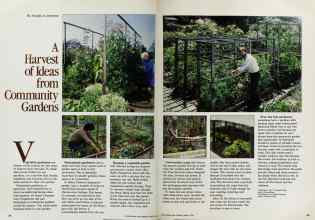 Better Homes & Gardens March 1984 Magazine Article: A Harvest of Ideas from Community Gardens