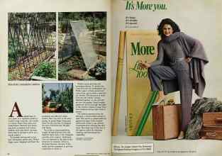 Better Homes & Gardens March 1984 Magazine Article: Page 50