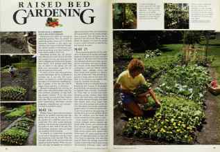Better Homes & Gardens March 1984 Magazine Article: RAISED BED GARDENING