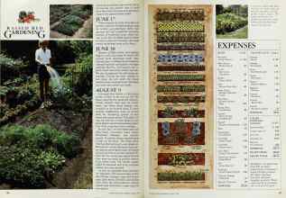 Better Homes & Gardens March 1984 Magazine Article: Page 86