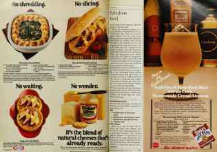 Better Homes & Gardens March 1984 Magazine Article: Page 106