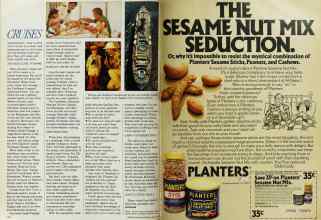 Better Homes & Gardens March 1984 Magazine Article: Page 148