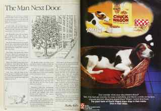 Better Homes & Gardens March 1984 Magazine Article: Page 162
