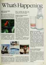 Better Homes & Gardens April 1984 Magazine Article: GO PLATINUM-COOL OR TOASTY-WARM