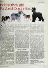Better Homes & Gardens April 1984 Magazine Article: Picking the Right Purebred Dog for You