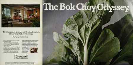 Better Homes & Gardens April 1984 Magazine Article: Page 3