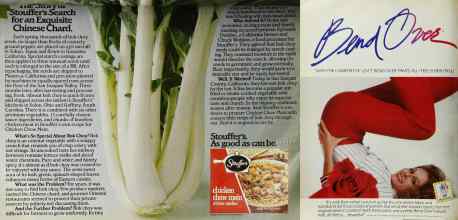 Better Homes & Gardens April 1984 Magazine Article: Page 5