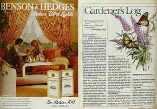 Better Homes & Gardens April 1984 Magazine Article: Page 25