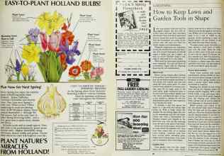 Better Homes & Gardens April 1984 Magazine Article: Page 27