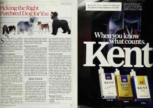 Better Homes & Gardens April 1984 Magazine Article: Page 75