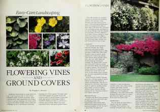 Better Homes & Gardens April 1984 Magazine Article: FLOWERING VINES AND GROUND COVERS