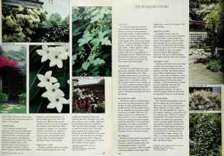 Better Homes & Gardens April 1984 Magazine Article: Page 99