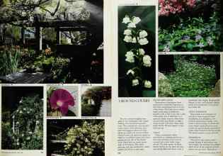 Better Homes & Gardens April 1984 Magazine Article: Page 101