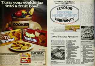 Better Homes & Gardens April 1984 Magazine Article: Page 141