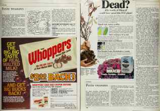 Better Homes & Gardens April 1984 Magazine Article: Page 161