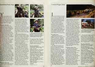 Better Homes & Gardens April 1984 Magazine Article: Page 175