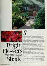 Better Homes & Gardens May 1984 Magazine Article: Bright Flowers THAT GROW IN THE Shade