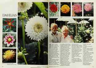 Better Homes & Gardens May 1984 Magazine Article: Page 110