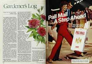 Better Homes & Gardens May 1984 Magazine Article: Page 214