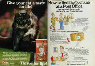 Better Homes & Gardens June 1984 Magazine Article: Page 12