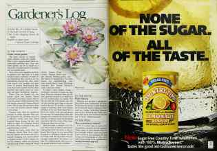 Better Homes & Gardens June 1984 Magazine Article: Page 34
