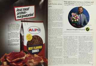 Better Homes & Gardens June 1984 Magazine Article: Page 64