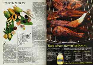 Better Homes & Gardens June 1984 Magazine Article: Page 120