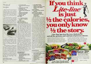 Better Homes & Gardens June 1984 Magazine Article: Page 126