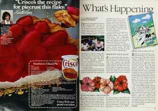 Better Homes & Gardens July 1984 Magazine Article: Page 12