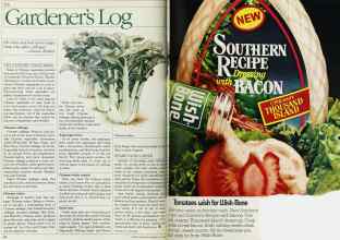 Better Homes & Gardens July 1984 Magazine Article: Page 50