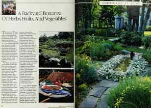 Better Homes & Gardens from 1984 | A Backyard Bonanza Of Herbs, Fruits, And Vegetables