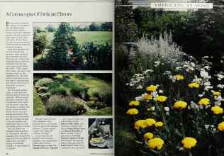 Better Homes & Gardens July 1984 Magazine Article: Page 92
