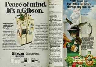 Better Homes & Gardens July 1984 Magazine Article: Page 116