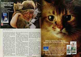 Better Homes & Gardens July 1984 Magazine Article: Page 154