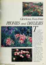 Better Homes & Gardens August 1984 Magazine Article: Glorious, Fuss-Free PEONIES and DAYLILIES